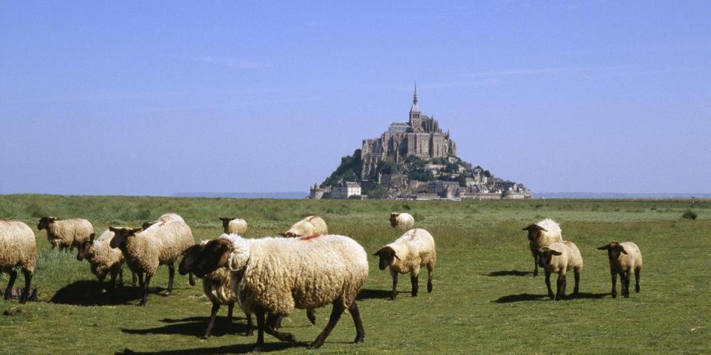 Chambres D'Hotes Avec Piscine Aux Agapanthes De Cromel - Mont Saint Michel Saint-Quentin-sur-le-Homme Exterior foto